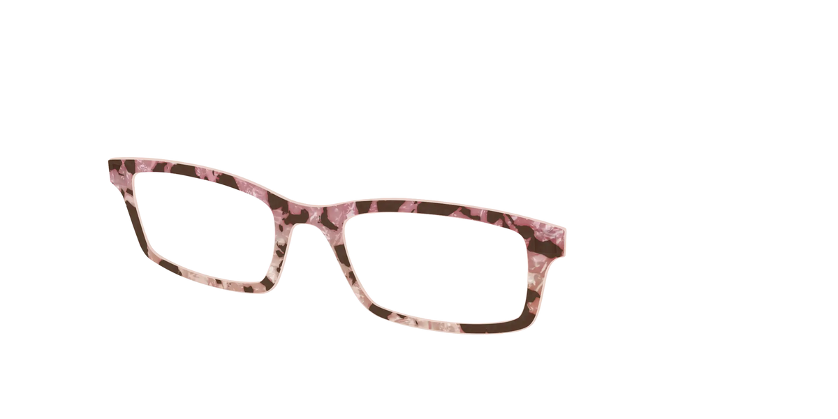 The Pale Peach Pearl Tortoise